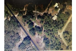 519 Washington Boulevard, Lake Placid, FL 33852 - MLS#R11138436