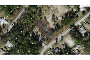 9131 Bertin Drive, Citrus Springs, FL 34434 - MLS#R11139819