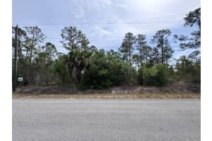 1314 Willard Avenue, Lehigh Acres, FL 33972 - MLS#R11140004