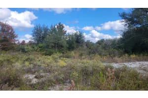 21321 272nd Street, Okeechobee, FL 34972 - MLS#R11140239