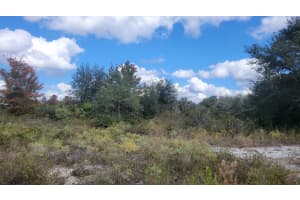 21321 272nd Street, Okeechobee, FL 34972 - MLS#R11140239