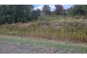 21321 272nd Street, Okeechobee, FL 34972 - MLS#R11140239