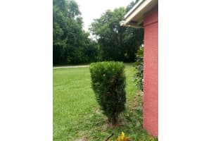 509 E Magnolia Street, Kissimmee, FL 34744 - MLS#R11141770