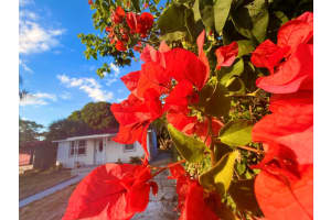 1093 Highview Road, Lantana