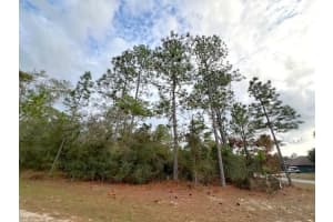 3154 Bedford Lane, Citrus Springs, FL 34434 - MLS#R11143009