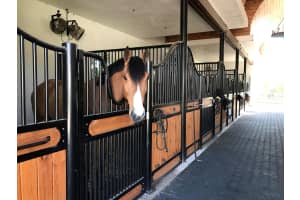 3650 Middleburg Drive, Wellington, FL 33414 - MLS#R11143107