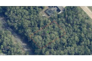 8615 Spikes Way, Citrus Springs, FL 34434 - MLS#R11143760