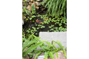 1357 NE Ocean Boulevard 316, Stuart, FL 34996 Sold 01/20/26