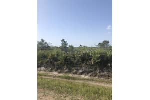 19775 242nd Street, Okeechobee, FL 34972 - MLS#R11145767