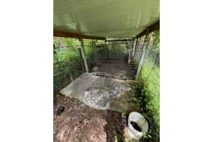 16319 E Cheltenham Drive E, The Acreage, FL 33470 - MLS#R11145944