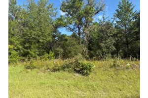 Tbd 79th Terrace Road, Dunnellon, FL 34432 - MLS#R11146214