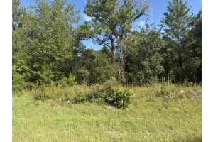 Tbd 79th Terrace Road, Dunnellon, FL 34432 - MLS#R11146214