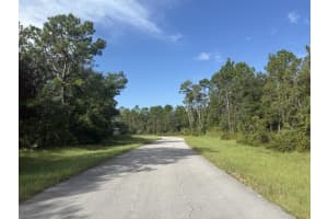 Tbd 79th Terrace Road, Dunnellon, FL 34432 - MLS#R11146214