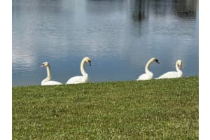 8913 SW Chevy Circle, Stuart, FL 34997 - MLS#R11146278