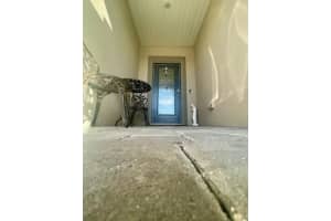 4980 Lyric Drive, Mascotte, FL 34753 - MLS#R11146474