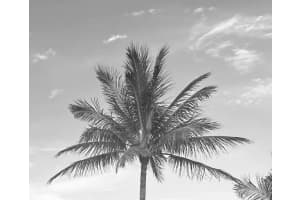 11465 Old Harbour Road, North Palm Beach, FL 33408 Sold 12/12/25