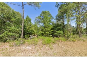 1001 Hummingbird Street, Lake Placid, FL 33852 Sold 01/16/26