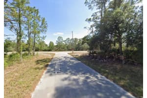 1001 Hummingbird Street, Lake Placid, FL 33852 - MLS#R11147256