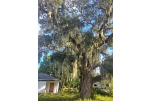 1817 Palm Boulevard, Melbourne, FL 32901 - MLS#R11147827