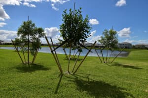 5773 Aleppo Pine Place, Westlake, FL 33470 - MLS#R11148120