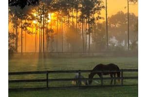 6296 188th Trail, Loxahatchee, FL 33470 Sold 02/18/26