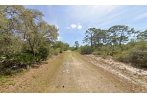 124 Audrey Avenue, Lake Placid, FL 33852 - MLS#R11148841