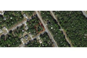 125 Ruska Place, Citrus Springs, FL 34434 - MLS#R11149108