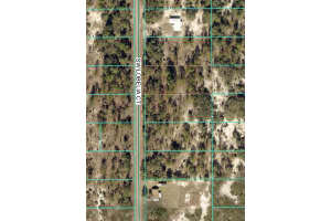 Tbd Lot 32 Lobelia Court, Dunnellon, FL 34431 - MLS#R11149731