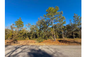 Tbd Lot 32 Lobelia Court, Dunnellon, FL 34431 - MLS#R11149731