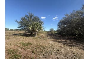 17065 306th Street, Okeechobee, FL 34972 - MLS#R11150216