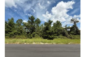 Tbd 177th Place Road, Ocala, FL 34473 - MLS#R11151881