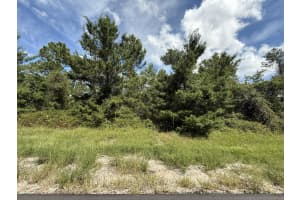 Tbd 177th Place Road, Ocala, FL 34473 - MLS#R11151881