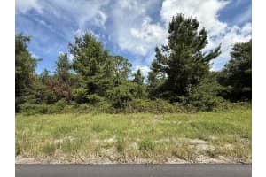 Tbd 177th Place Road, Ocala, FL 34473 - MLS#R11151881