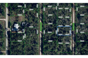 1256 Kumquat Street, Lake Placid, FL 33852 Sold 03/13/26