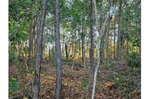 5436 Briscoe Drive, Port Saint Lucie, FL 34986 - MLS#R11154814