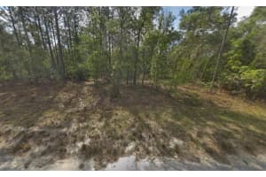 Tbd Resort Avenue, Weeki Wachee, FL 34614 - MLS#R11156435