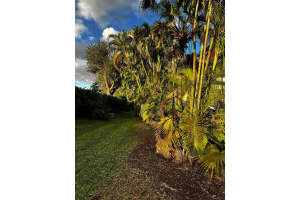 2547 Bedford Mews Drive, Wellington, FL 33414 - MLS#R11156865