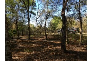 17444 286th Street, Okeechobee, FL 34972 - MLS#R11157659