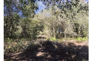 17444 286th Street, Okeechobee, FL 34972 - MLS#R11157659