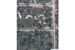 100 Tryon Avenue, Lake Placid, FL 33852 - MLS#R11158900