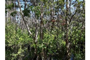 -- Dyer Road, Fort Pierce, FL 34952 - MLS#R11159229