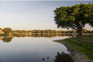 2650 Greenwood Terrace 125, Boca Raton, Fl 33431, Boca Raton