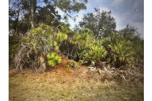 Tbd Trilby Avenue, North Port, FL 34286 - MLS#R11160035