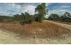3131 Kennedy Avenue, Lake Placid, FL 33852 - MLS#R11160306