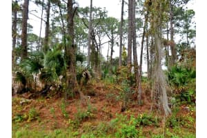 Tbd Giblin Drive, North Port, FL 34286 - MLS#R11160416