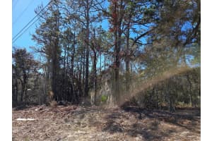 8 Marion Oaks Lane, Ocala, FL 34473 - MLS#R11160899