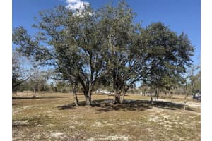 18990 284th Street, Okeechobee, FL 34972 - MLS#R11161006