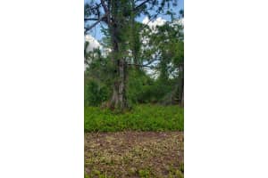 932 Island Parkway, Lake Placid, FL 33852 - MLS#R11161204