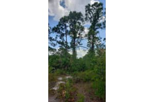 932 Island Parkway, Lake Placid, FL 33852 - MLS#R11161204