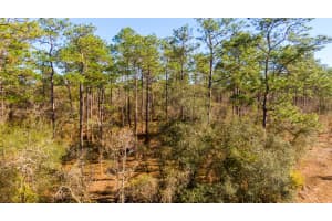 0 Commodore Road, Dunnellon, FL 34431 - MLS#R11161622